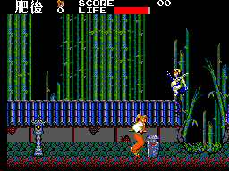 Kenseiden (Japan) In game screenshot